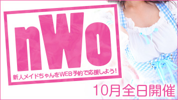 nWo VlChWEB\ŉ悤I