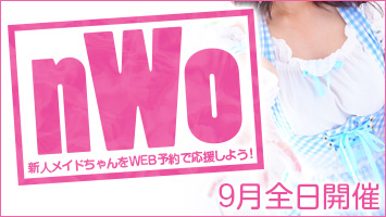 nWo VlChWEB\ŉ悤I
